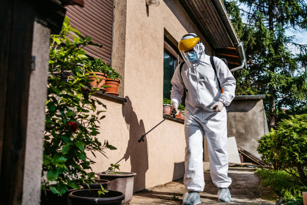 Best Flea Control Services  in Mccormick, SC