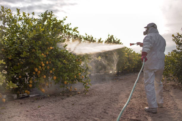 Trusted Mccormick, SC Pest Control Experts